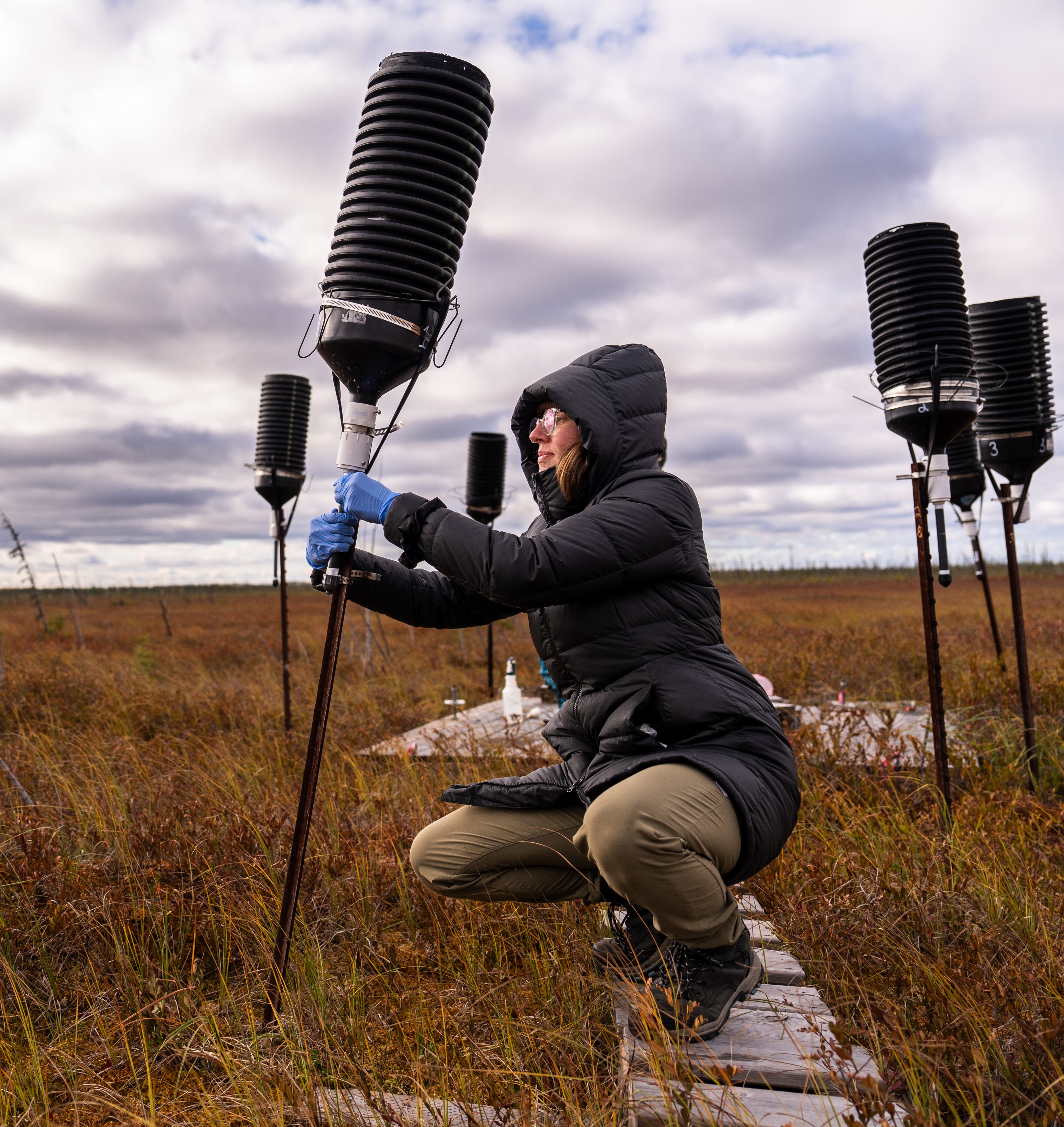 Sampling equipment that measures ions, such as base cations like calcium and sodium. The equipment is placed in both jack pine forest stands and in nearby open areas.